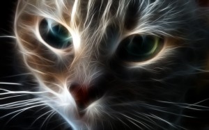 animated_cat_eyes_1280x800_wallpaper